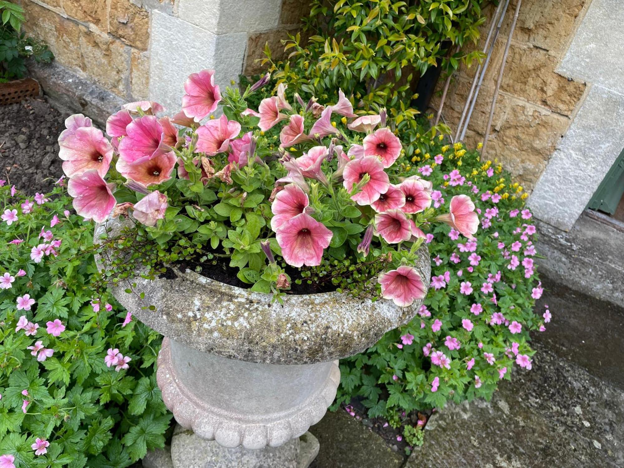 Ellesmere House Castle Cary Exteriér fotografie